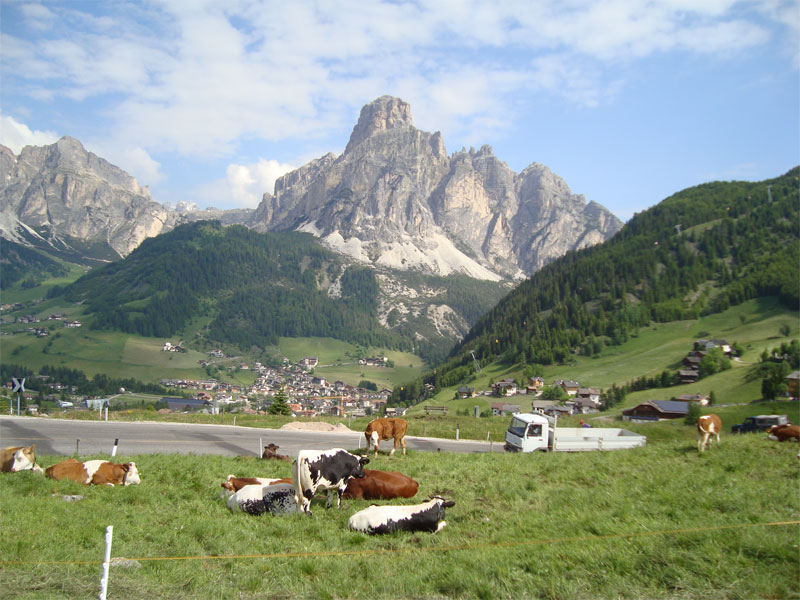 gal/2010/07 - Sella Ronda Bike Day 2010/03_il_mega_giro del sabato/1verso-il-campolongo.jpg